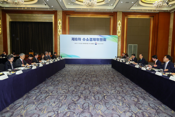 지난달 18일 개최된 '제6차 수소경제위원회'에서 소부장 육성전략이 발표됐다.(사진=국무총리실)