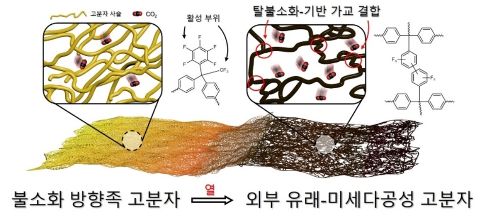 불소화 방향족 고분자의 탈불소화 및 가교 메커니즘 모식도.(사진=서강대학교)