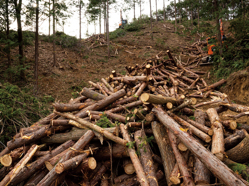정부는 벌채 부산물 등 폐목질계만 바이오매스 연료로 사용할 수 있도록 구조를 전환하고 있다.