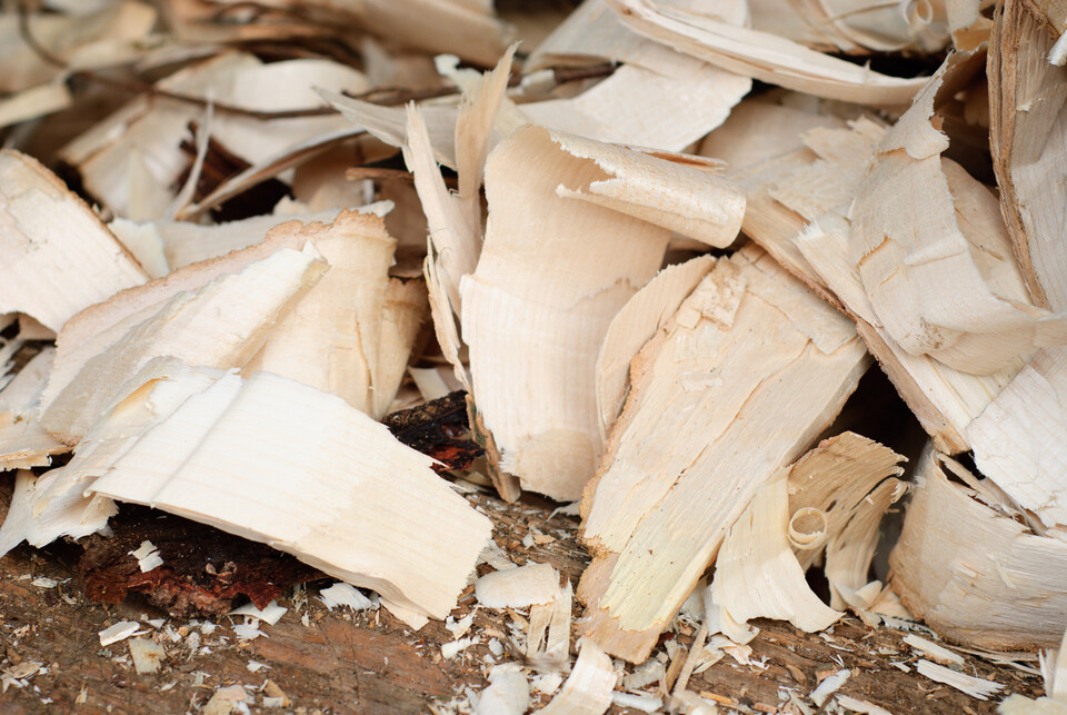 폐목재, 벌채 부산물 등 폐목질계만 바이오매스 연료로 쓰도록 구조를 개선할 방침이다.