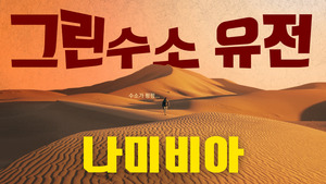 토토 사이트-최신 토토 커뮤니티-온라인 카지노