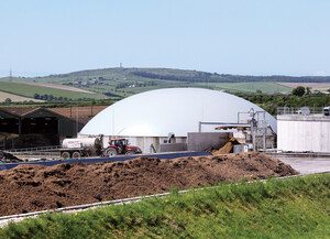 토토 사이트-최신 토토 커뮤니티-온라인 카지노