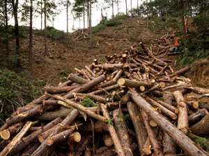 토토 사이트-최신 토토 커뮤니티-온라인 카지노